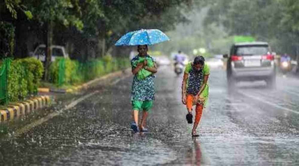 मानसून को लेकर बस्तर में उम्मीदें बढ़ीं, तेज हवाएं तय करेंगी बारिश की आगे की रफ्तार